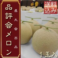 限定50個予約販売【6/20・21発送日限定】県品評会メロン　１玉　化粧箱【送料込】食べ頃日間近完熟品