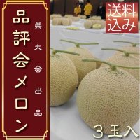 限定50個予約販売【6/20・21発送日限定】県品評会メロン　3玉　化粧箱【送料込】食べ頃日間近完熟品