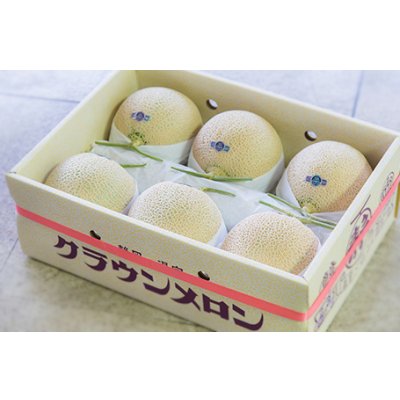 画像3: 限定50個予約販売【6/20・21発送日限定】県品評会メロン　６玉　箱入【送料込】食べ頃日間近完熟品