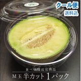 【到着日〜翌日頃が食べ頃の完熟品】M玉半カットメロン　１パック詰　【のし不可】【冷蔵クール便送料込み】