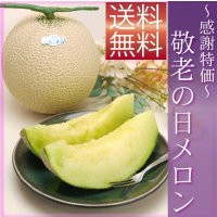 【感謝特価・敬老の日メロンS白1玉】【ネット注文限定・送料無料】