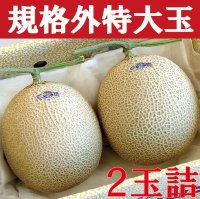 クラウンメロン規格外特大玉　2玉　専用化粧箱【ネット注文限定・送料無料】