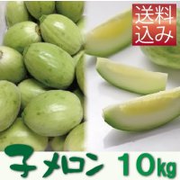 子メロン　10Ｋｇ（約100〜180個入り）【送料込】　※品薄のため【到着日指定不可・納期問い合わせ必須】