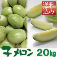 子メロン　20Ｋｇ（約200〜360個入り）【送料込】　※品薄のため【到着日指定不可・納期問い合わせ必須】