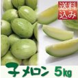 画像1: 子メロン　5Ｋｇ（約50〜90個入り）【送料込】　※品薄のため【到着日指定不可・納期問い合わせ必須】 (1)