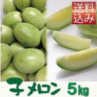 子メロン　5Ｋｇ（約50〜90個入り）【送料込】　※品薄のため【到着日指定不可・納期問い合わせ必須】