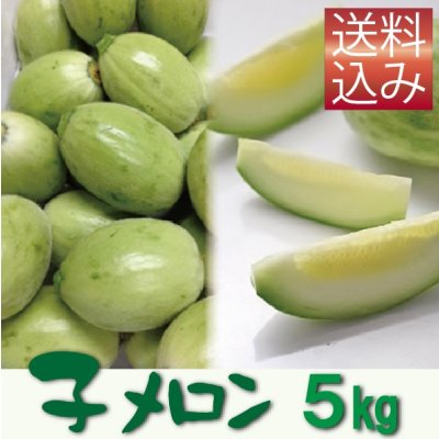 画像1: 子メロン　5Ｋｇ（約50〜90個入り）【送料込】　※品薄のため【到着日指定不可・納期問い合わせ必須】