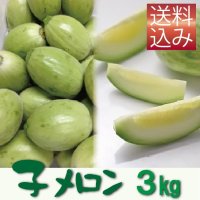 子メロン　３Ｋｇ（約30〜54個入り）【送料込】　※品薄のため【到着日指定不可・納期問い合わせ必須】