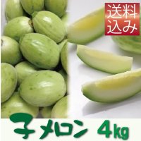 子メロン　4Ｋｇ（約40〜72個入り）【送料込】　※品薄のため【到着日指定不可・納期問い合わせ必須】