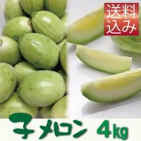 子メロン　4Ｋｇ（約40〜72個入り）【送料込】　※品薄のため【到着日指定不可・納期問い合わせ必須】