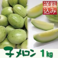 子メロン　１Ｋｇ（約10〜18個入り）【送料込】※品薄のため【到着日指定不可・納期問い合わせ必須】