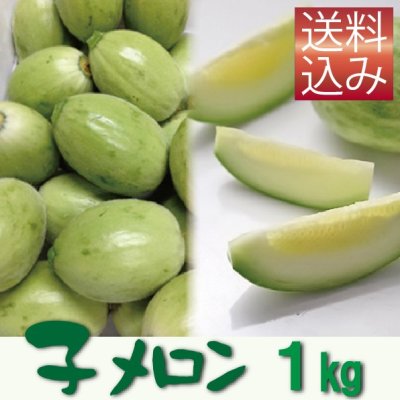 画像1: 子メロン　１Ｋｇ（約10〜18個入り）【送料込】※品薄のため【到着日指定不可・納期問い合わせ必須】