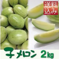 子メロン　２Ｋｇ（約20〜36個入り）【送料込】　※品薄のため【到着日指定不可・納期問い合わせ必須】