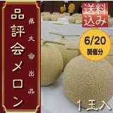 限定50個予約販売【6/20・21発送日限定】県品評会メロン　１玉　【送料込】食べ頃日間近完熟品　　※到着日は6/21〜23頃