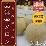 限定50個予約販売【6/20・21発送日限定】県品評会メロン　２玉　化粧箱【送料込】食べ頃日間近完熟品　　※到着日は6/21〜23頃