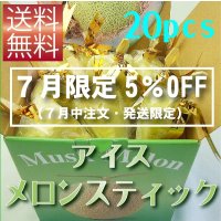 【７月限定（７月中注文・発送限定）5％OFF価格】アイスメロンスティック　２０本箱入り　【冷凍クール便送料無料】