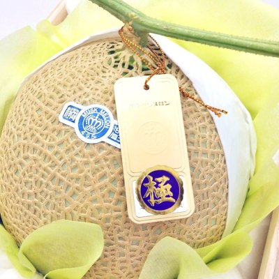 画像3: 【富士と同等品質】当社社長が絶対の自信を持って選んだ『極みメロン』２玉詰桐箱入　【送料無料】