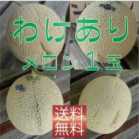 【食べ頃日指定不可】わけありクラウンメロン　1玉　【ネット注文限定・送料無料】※（正規品との誤解を防ぐため）訳あり品であるカードが必ず入っております※