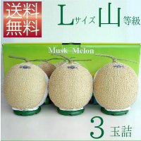 クラウンメロン Lサイズ山等級　３玉詰　【ネット注文限定・送料無料】