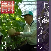 クラウンメロン　最高級（名人メロン）品評会入賞常連メロン農家が作ったL山等級　3玉詰　化粧箱【ネット注文限定・送料無料】
