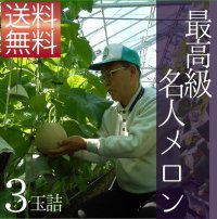 クラウンメロン　最高級（名人メロン）品評会入賞常連メロン農家が作ったL山等級　3玉詰　化粧箱【ネット注文限定・送料無料】