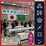 先着50個予約販売【11/14,15発送日限定】品評会メロン　２玉　化粧箱【送料込】食べ頃日間近完熟品