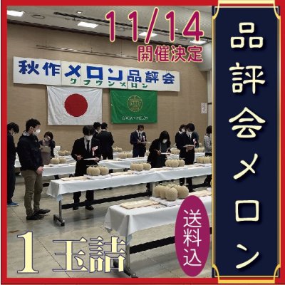 画像1: 先着50個予約販売【11/14,15発送日限定】品評会メロン　１玉　化粧箱【送料込】食べ頃日間近完熟品※熨斗不可