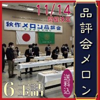 先着50個予約販売【11/14.15発送日限定】品評会メロン　６玉　箱入【送料込】食べ頃日間近完熟品※熨斗不可