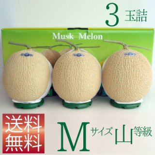 アールスメロン 1玉、6玉 静岡県産 送料無料（北海道、沖縄