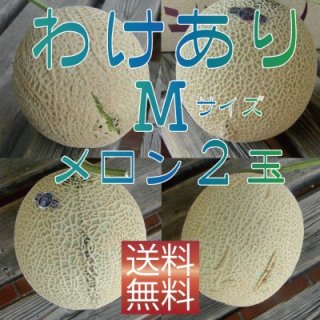 楽天市場】【順次発送可能☆】静岡県産 特選クラウンメロン [2個