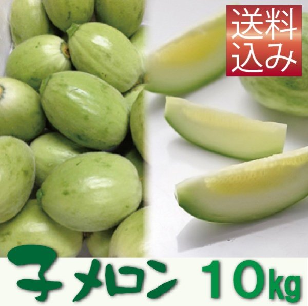 画像1: 子メロン　10Ｋｇ（約100〜180個入り）【送料込】　※品薄のため【到着日指定不可・納期問い合わせ必須】 (1)