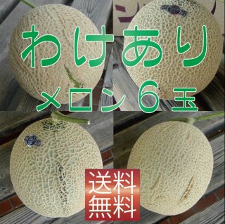 メロン出品 ヤマニパッケージ ハイクラスメロンL1ヶ入(200入) L-2200 | 資材