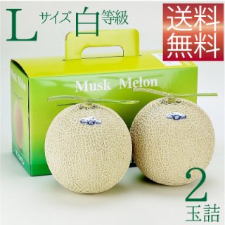 アールスメロン 1玉、6玉 静岡県産 送料無料（北海道、沖縄