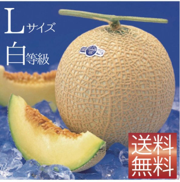 静岡県産　白等級　クラウンメロン1玉　約1.5kg以上